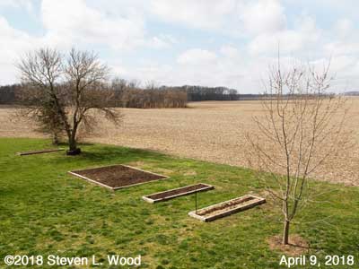 Our Senior Garden - April 9, 2018
