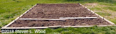 Garden rows staked