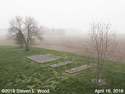 Our Senior Garden - April 16, 2018