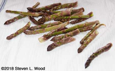 Today's picking of asparagus