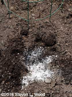Closeup of hole
