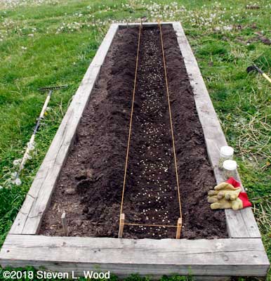 Row seeded