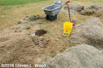 Hole dug and backfilled with improved soil