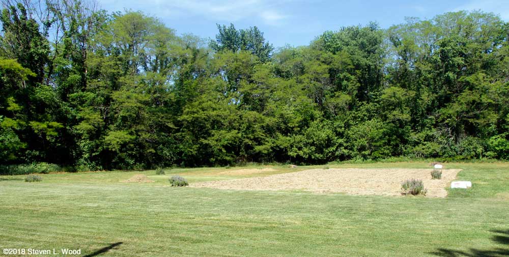 East Garden plot tilled