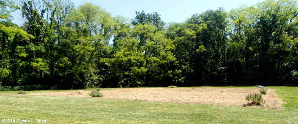 East Garden plot tilled (again)