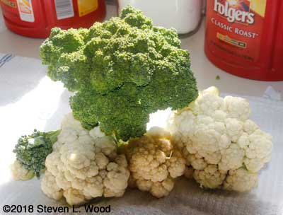 Broccoli and cauliflower