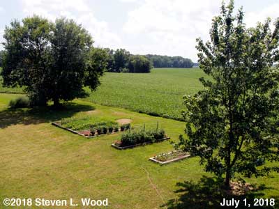 Our Senior Garden - July 1, 2018