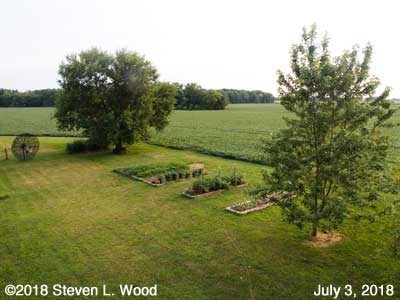 Our Senior Garden - July 3, 2018