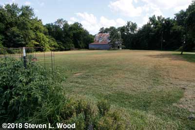 About half of field I mowed