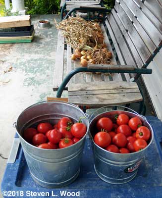 Tomatoes and onions