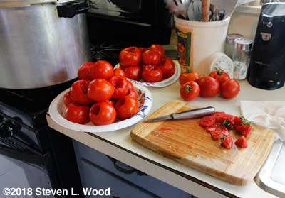 Coring tomatoes