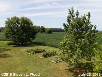Our Senior Garden - July 26, 2018