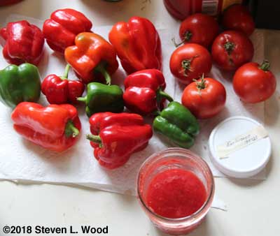 Peppers, tomatoes, and some fermented tomato seed