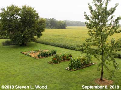 Our Senior Garden - September 8, 2018