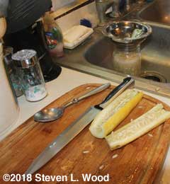 Cutting cucumbers for seed