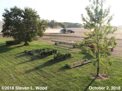 Our Senior Garden - October 2, 2018