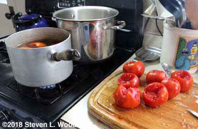 Peeling tomatoes