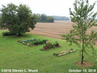 Our Senior Garden - October 10, 2018