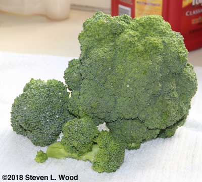 Broccoli