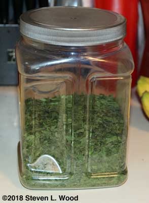 Our parsley jar...awaiting the dehydrators last load of dried parsley
