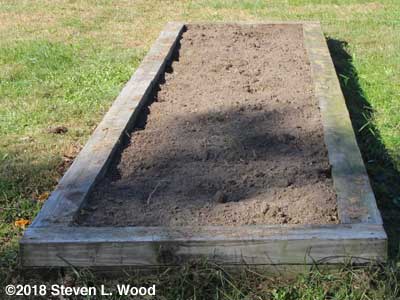 Tomato bed cleared