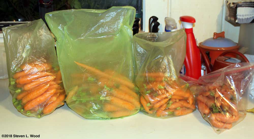 Bagged fall carrots - 2018