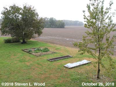 Our Senior Garden - October 26, 2018