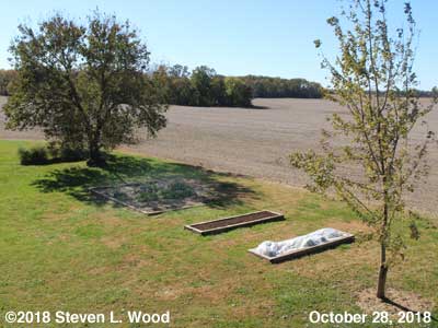 Our Senior Garden - October 28, 2018