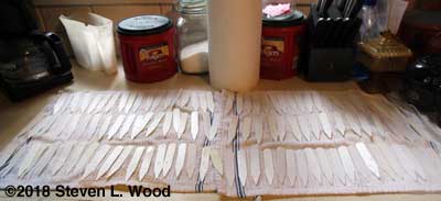 Drying plant labels