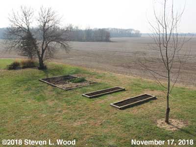 Our Senior Garden - November 17, 2018