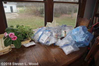 Bags of seed to be inventoried