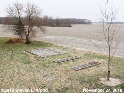 Our Senior Garden - November 27, 2018