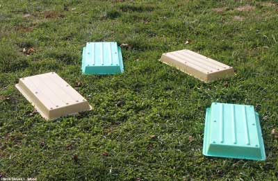 Trays drying on lawn