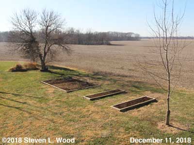 Our Senior Garden - December 11, 2018