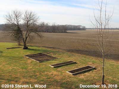 Our Senior Garden - December 19, 2018