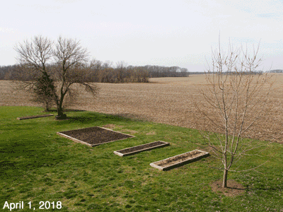 April, 2018, animated GIF of our Senior Garden