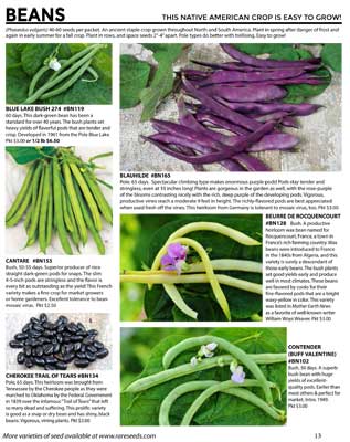 Beans from Baker Creek