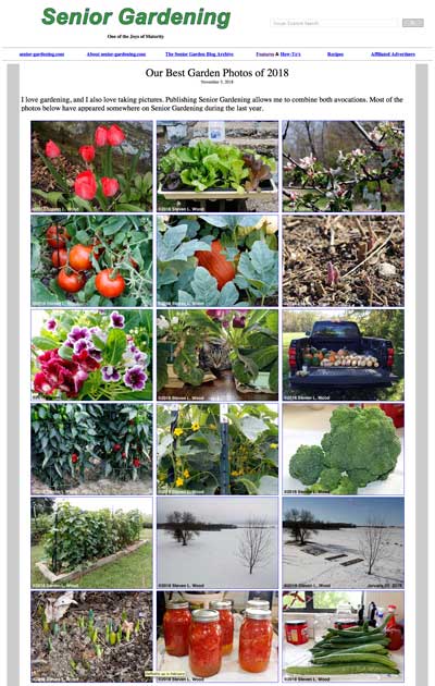 Best Garden Photos of 2018