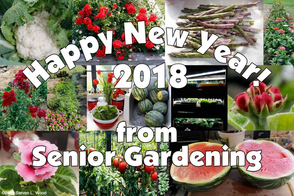 Happy New Year from Senior Gardening