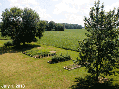July, 2018, animated GIF of our Senior Garden