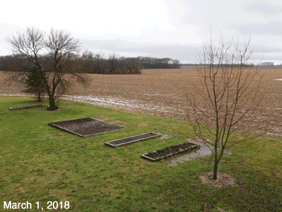 March, 2018, animated GIF of our Senior Garden