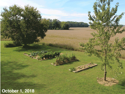 October, 2018, animated GIF of our Senior Garden
