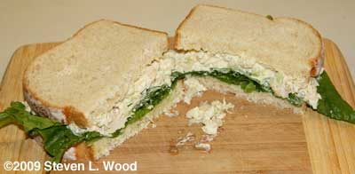 Chicken salad sandwich from when I wrote up the recipe