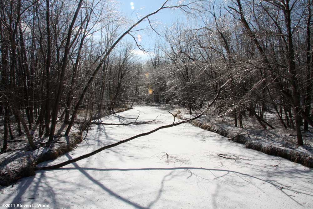 Creek on February 3, 2011