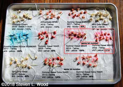 Bad Seed from Twilley Seed