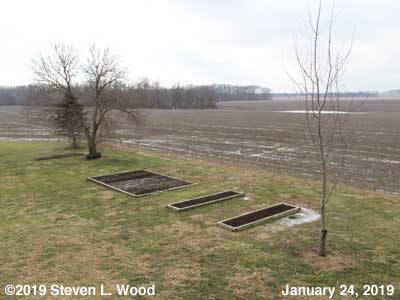 Our Senior Garden - January 24, 2019