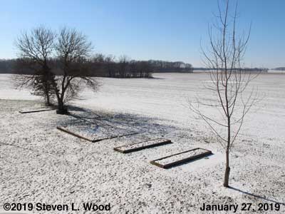 Our Senior Garden - January 27, 2019