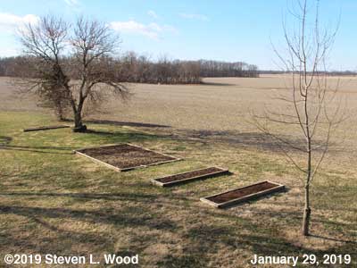 Our Senior Garden - January 29, 2019