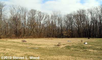 Our East Garden - February 1, 2019