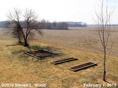 Our Senior Garden - February 1, 2019